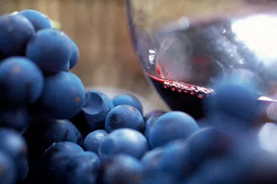 Mornington Peninsula: A Gourmet Food & Wine Adventure for Small Groups
