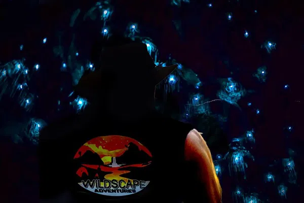 Blue Mountains Night Hike: Glow Worms & Wildlife!