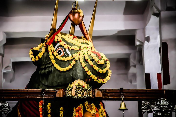 Experience Image img1