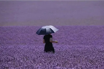 Verdon Gorge & Lavender Fields: A Private Provence Escape
