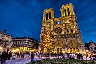 Notre Dame Walking Tour: History, Crypt & Chapel