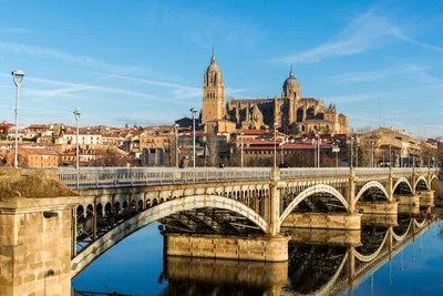 Luxury Iberian Ham & Salamanca Tour from Madrid