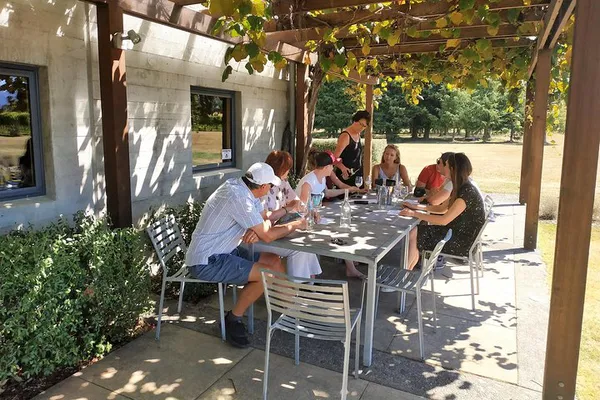Marlborough Wine Tour: Taste & Discover (4-Hour Small Group)