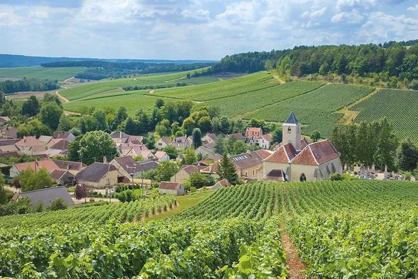 Champagne Tour: Unveiling Reims & Exclusive Tastings in a Luxurious Private Journey