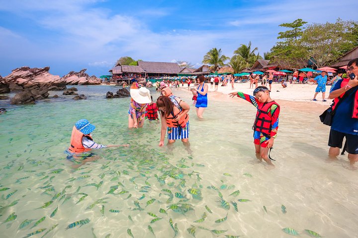 Discover Paradise: Phi Phi Islands Speedboat Adventure from Phuket