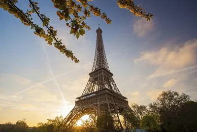 Paris by Night: Illuminations Tour & Eiffel Tower Adventure