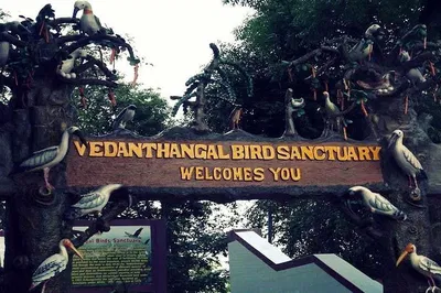Chennai Getaway: Birdwatcher's Paradise at Vedanthangal Sanctuary!