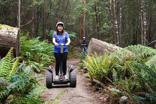 Launceston Segway Forest Tour: Hollybank Adventure!