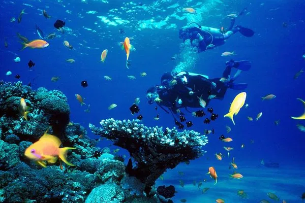 Unlock Underwater Wonders: Private Scuba Diving in Racha Yai from Phuket