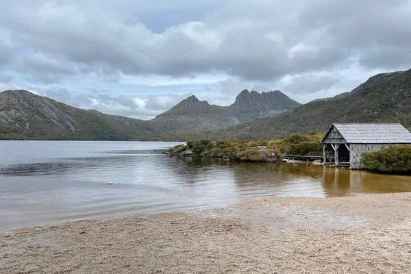 Discover Tasmania's Wild Side: Cradle Mountain Day Tour
