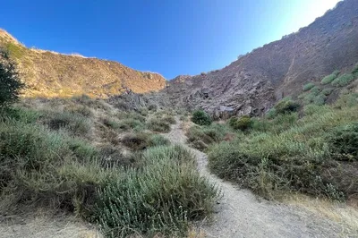 Unveiling Nature & Hollywood: Griffith Park's Batcave Eco-Tour