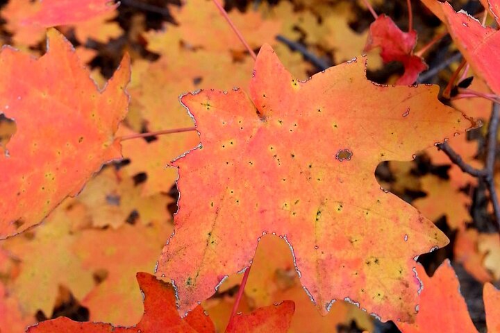 Experience Image img3