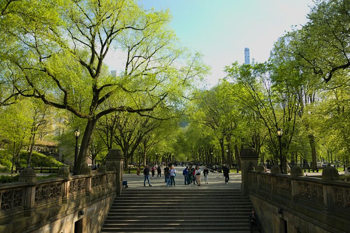 https://images.dyvarcity.com/experience-images/dyvarcity_974f8034ba84a52201bcbaa97_8e.jpg