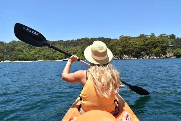 Paddle North Harbour: Your 4-Hour Kayak Adventure Awaits!