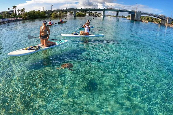 Jupiter Island Paddle Boarding: Guided Eco-Tour