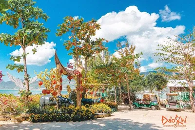 Da Nang Mikazuki Water Park & Onsen: A Day of Aquatic Fun & Relaxation