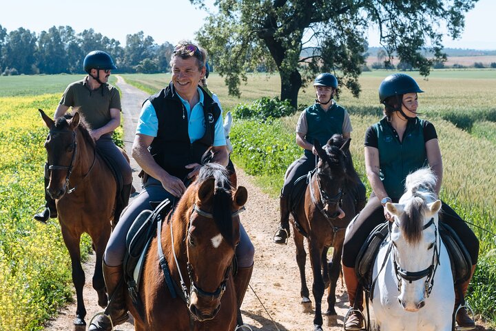 Doñana Horseback Riding: Andalusian Adventure Awaits!