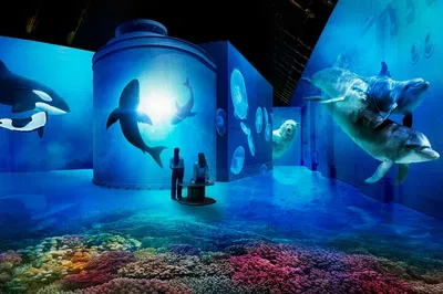 Amsterdam Fabrique des Lumières: Art Comes to Life!
