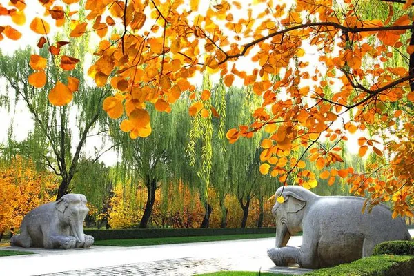 Unveiling Beijing's Treasures: Private Great Wall & Ming Tombs Adventure