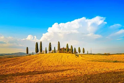 Tuscany Wine & Cheese Tour: A Luxurious Escape from Florence