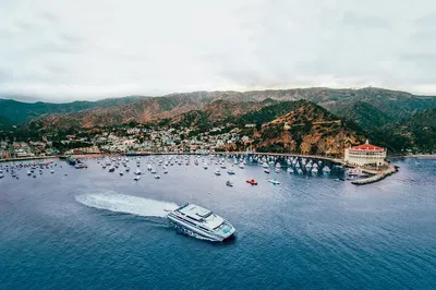 Catalina Express: Smooth Sailing from Avalon to San Pedro
