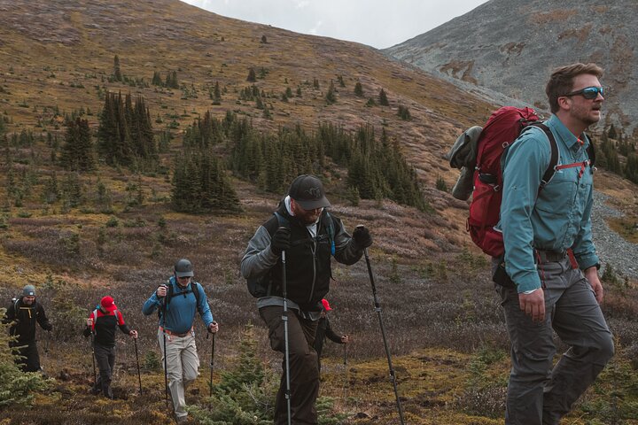 Experience Image img4