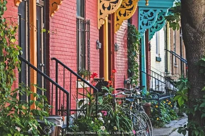 Unveiling Montreal's Artistic Heart: A Private Plateau & Mile End Walking Tour