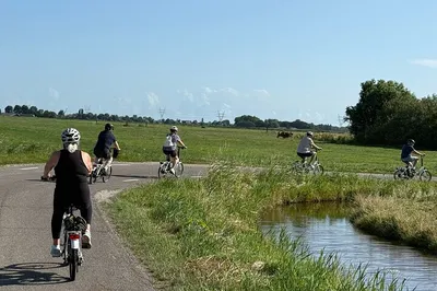 Amsterdam Countryside Bike Tour: 2.5 Hours with Local