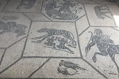 Image 3