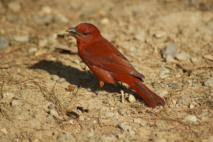 Experience Image img3