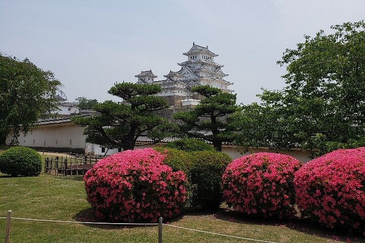 Experience Image img2