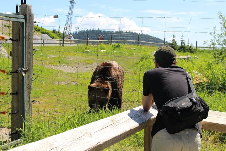 Experience Image img2