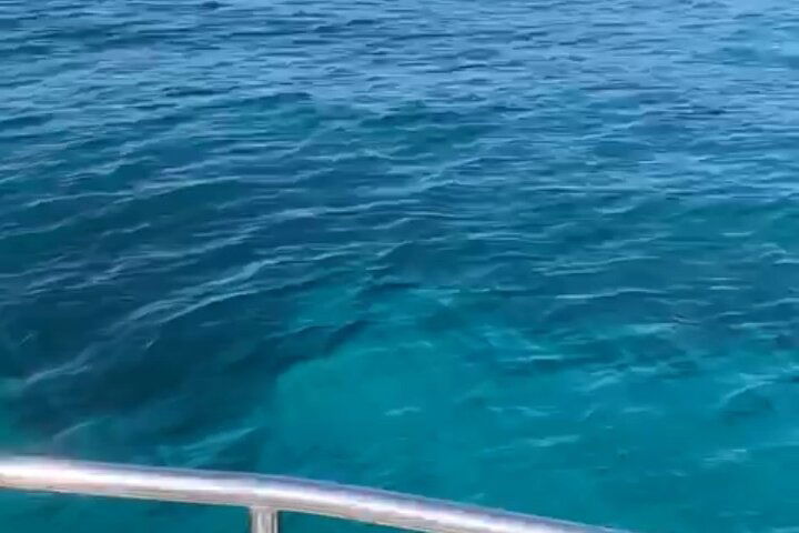 Experience Image img3