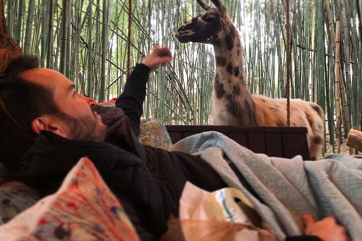 Experience Image img1