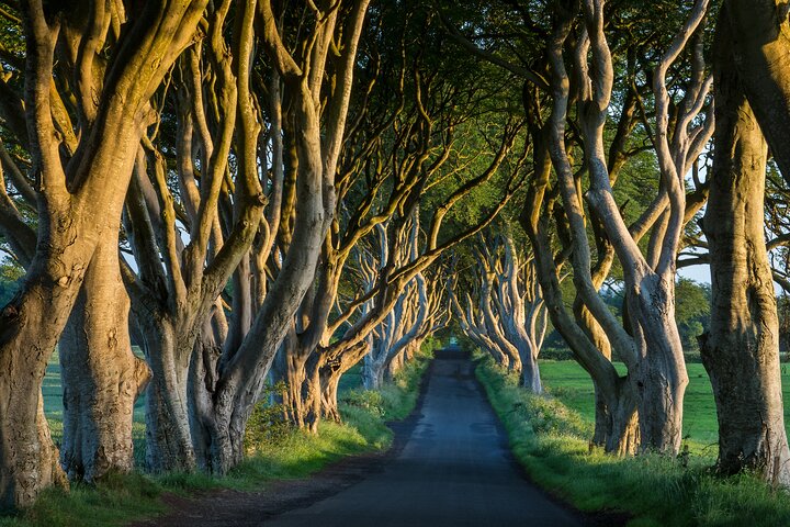 Unveil Northern Ireland's Magic: A Dublin Chauffeur Adventure