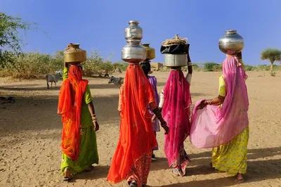 Unveiling Rajasthan's Majesty: A 10-Day Rustic Adventure with Taj & Wildlife