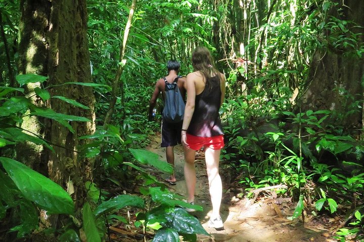 Khao Sok Jungle Safari: 2-Day Krabi Adventure