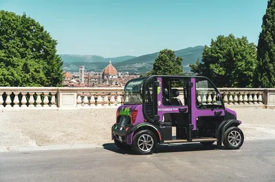 Florence: Eco-Friendly Electric Car Tour