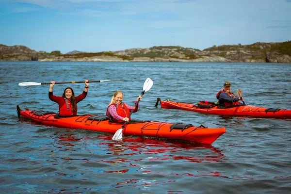 Bergen Kayak Tour: Explore Fjords, Wildlife & Local Food