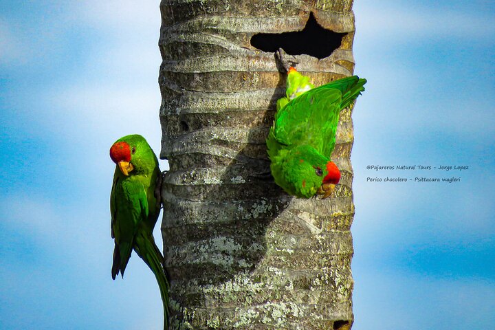 Experience Image img4