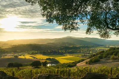 Unforgettable Russian River Valley Wine Tour: A Luxurious Escape from San Francisco