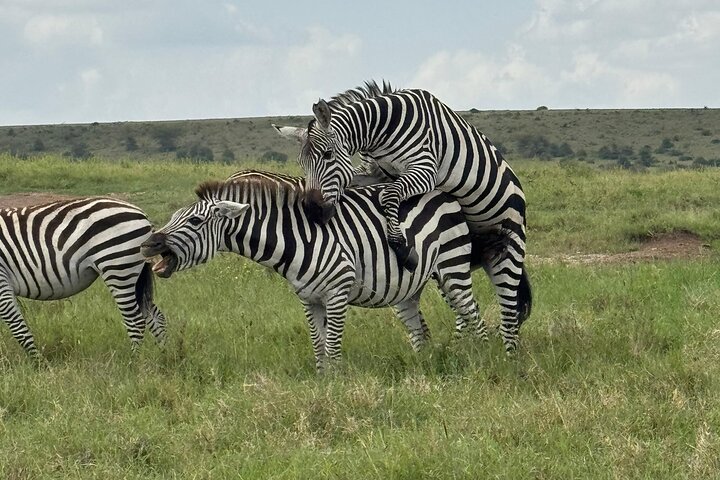 Experience Image img3