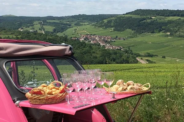 Burgundy Terroir Exploration: A 2CV Wine Tour Adventure