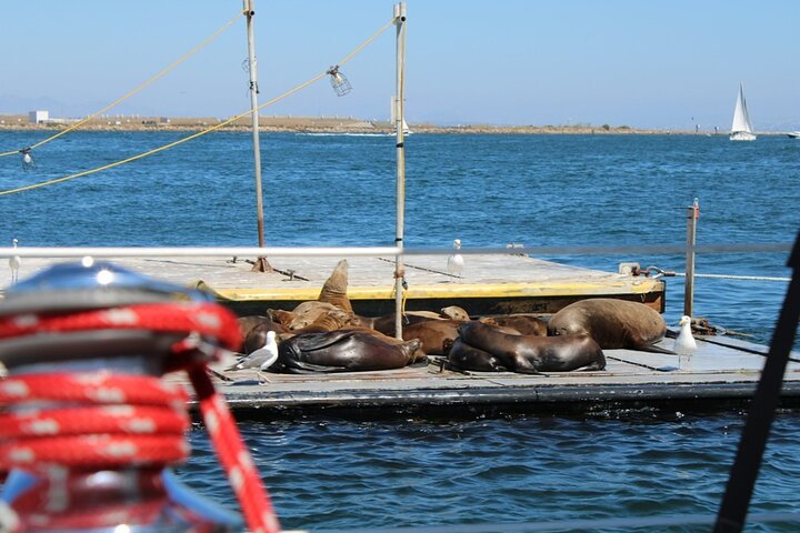 Experience Image img1