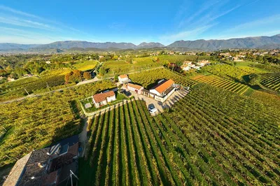 Discover Prosecco Hills: A Wine Tasting Journey at De Riz Winery