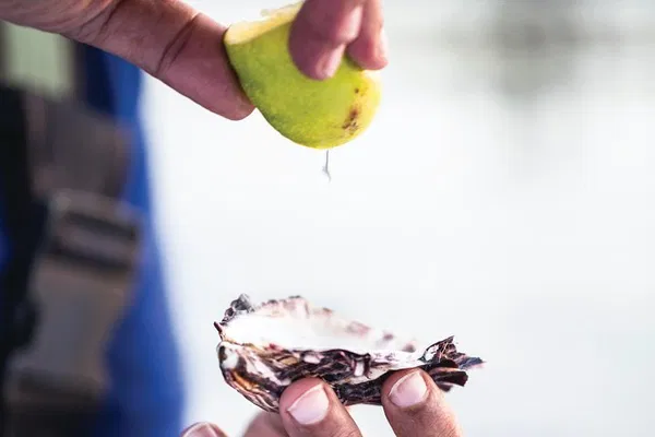 Tasmanian East Coast: A Luxurious Wine & Coastal Escape