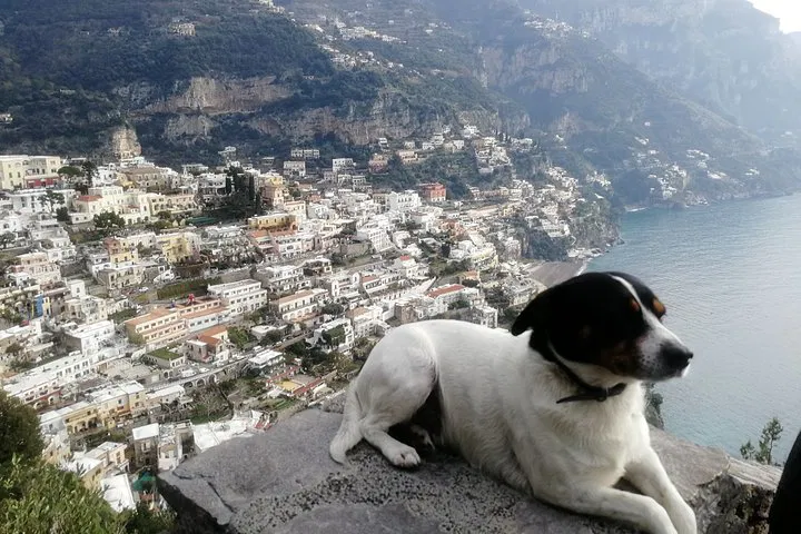 img0