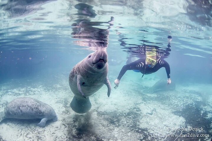 Experience Image img3