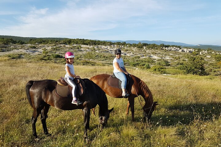 Experience Image img3