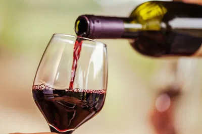 Uncork Bologna: Expert Lesson and Wine Tasting Adventure